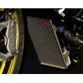 MotoCorse Titanium Water Radiator And oil Cooler Guards for the Ducati Monster 1200 & 2017+ Supersport